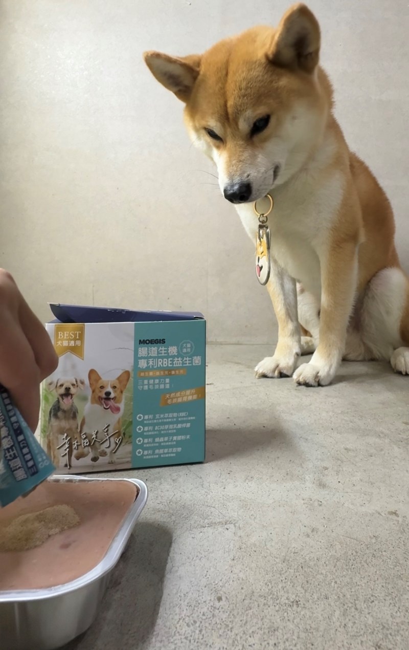 女人知己試用大隊,口碑行銷,部落客行銷,Moegis萌吉 腸道生機專利RBE益生菌,寵物益生菌,專利RBE益生元,專利蔬果酵素,小分子胜肽,藍藻粉,維持免疫力,幫助維持消化道機能,維持正常食慾,改變細菌叢生態,腸胃保健,犬貓適用